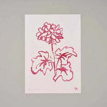 A4 Geranium Art Print