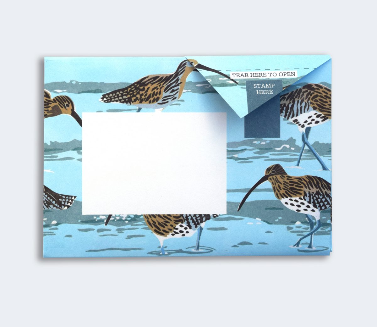 Hebridean Pigeon Pack