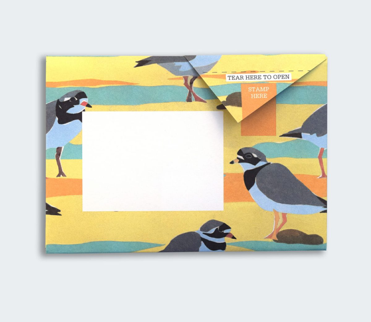 Hebridean Pigeon Pack