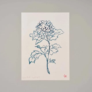 A4 Hydrangea Art Print