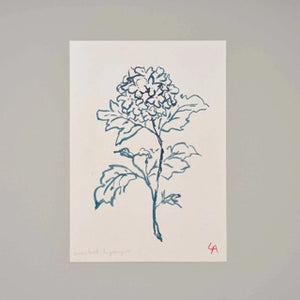 A4 Hydrangea Art Print