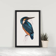 Kingfisher A4 Print