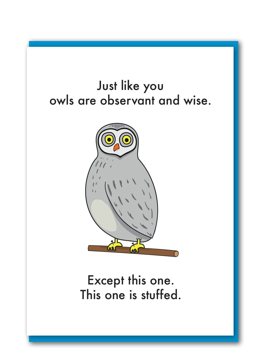 Greetings card with cartoon owl on a branch with text reading 'Just like you owls are observant and wise. Except this one. This one is stuffed.'