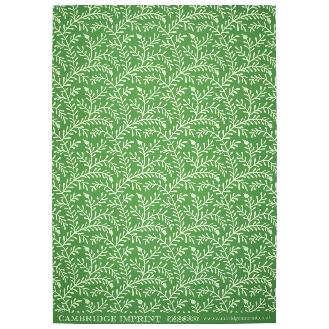 Patterned Paper Sprig, Pea Green