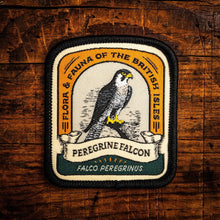 A rectangular embroidered patch with rounded corners featuring a peregrine falcon illustration and the text 'Flora & Fauna of the British Isles' and 'Peregrine Falcon', placed on a rustic wooden surface.