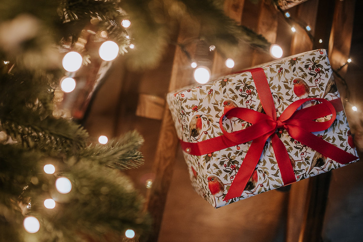 A Christmas gift box wrapped in white paper with a red robin pattern and tied with a large red ribbon, hanging near a decorated Christmas tree with warm string lights.