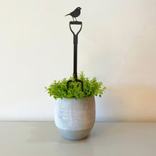 Robin On A Fork Pot Stem