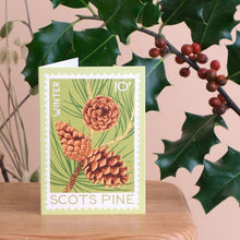A rectangular greeting card featuring a winter pine illustration with pinecones and the text 'WINTER' and 'SCOTS PINE', displayed on a wooden surface with holly leaves and red berries in the background.