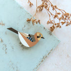 Jay Hand Painted Brooch