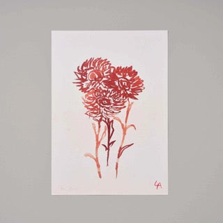 A4 Strawflower Art Print