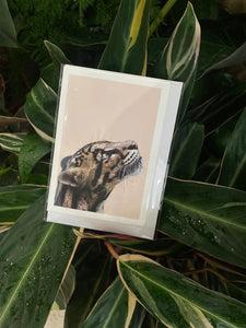 Clouded Leopard Greeting Card