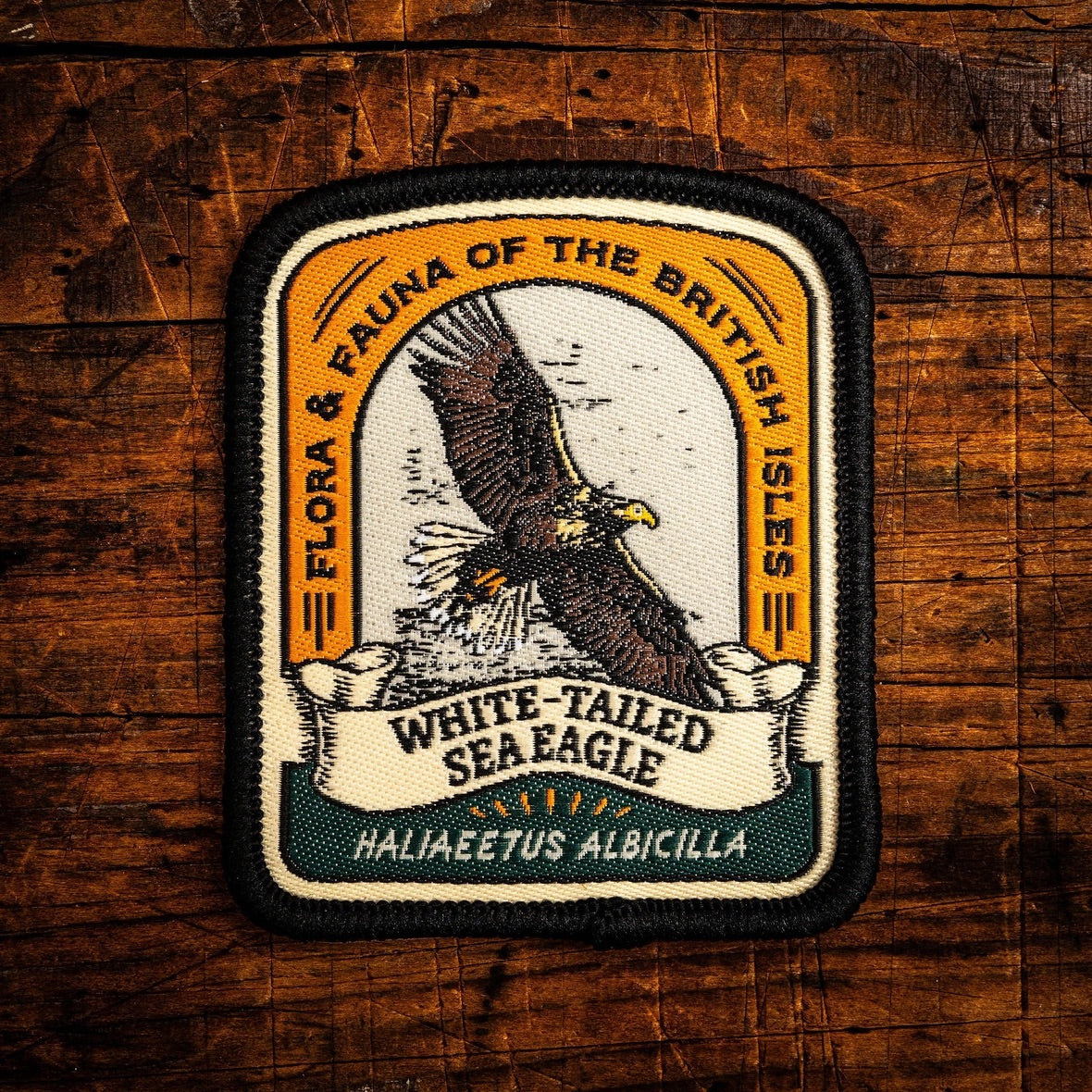 Patch of a white-tailed sea eagle on a wooden background