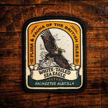 Patch of a white-tailed sea eagle on a wooden background