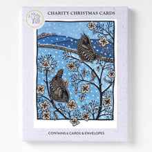 Charity Christmas Cards box featuring an illustrated winter scene with two wrens perched on branches against a blue snowy background.