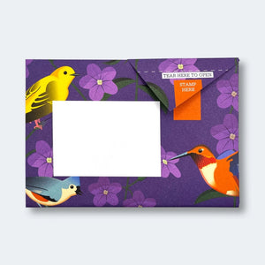 Carnival Of Colour Pigeon Pack