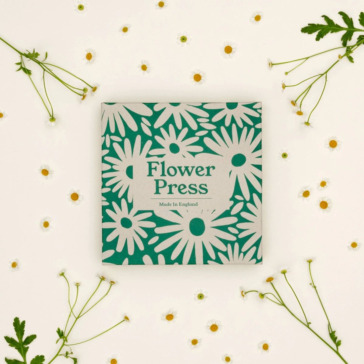Daisy Print Flower Press