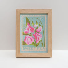 A5 Sweet Pea Print