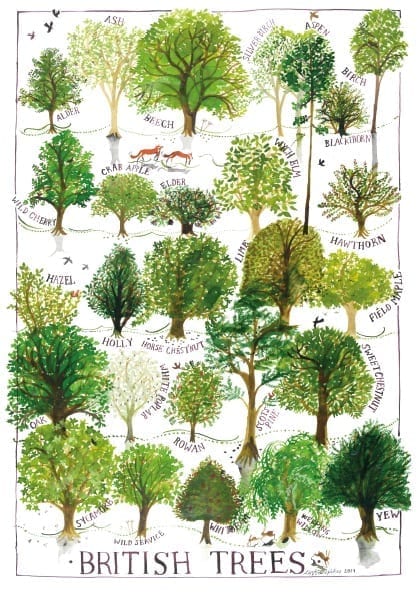 British Trees Greeting Card