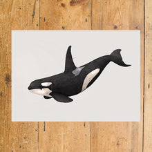 Orca A4 Print