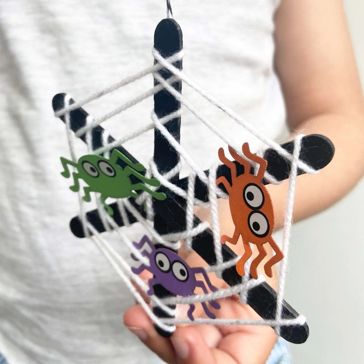 Make Your Own Spider's Web Kit