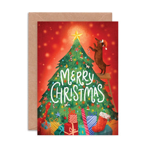Christmas Family Cards, Box of 6