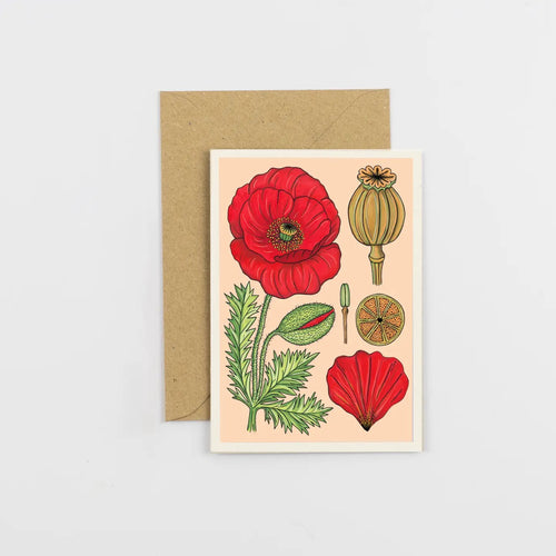 Vintage Poppy Greeting Card