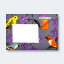 Carnival Of Colour Pigeon Pack