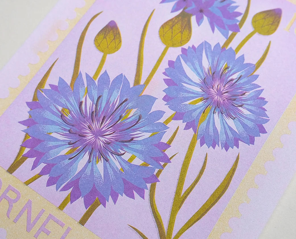 A5 Cornflower Print