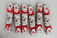 Robin Luxury Christmas Crackers