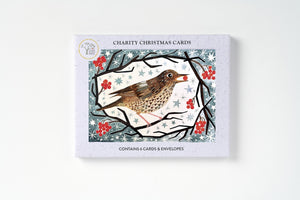 Song Thrush With Berries Christmas Cards, Pack of 6