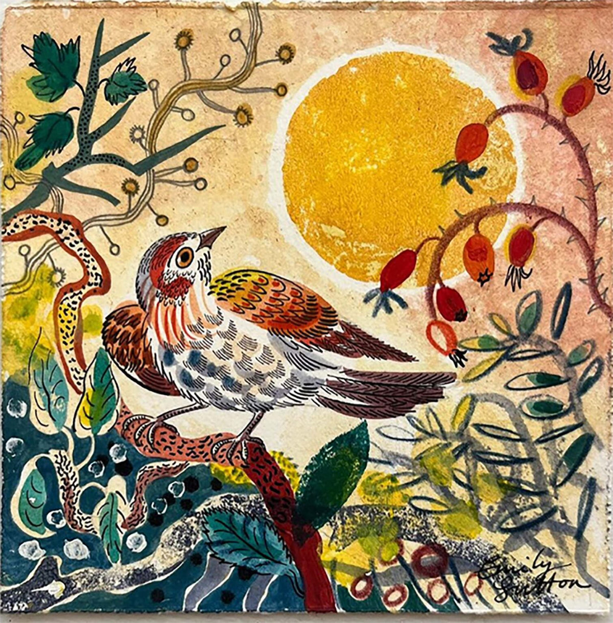 Finch and Berries Christmas Card, Pack of 6
