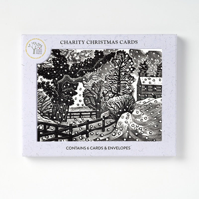 Considerable Falls Christmas Card, Pack of 6