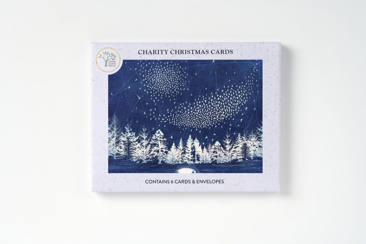 Starry Messenger Christmas Card, Pack of 6