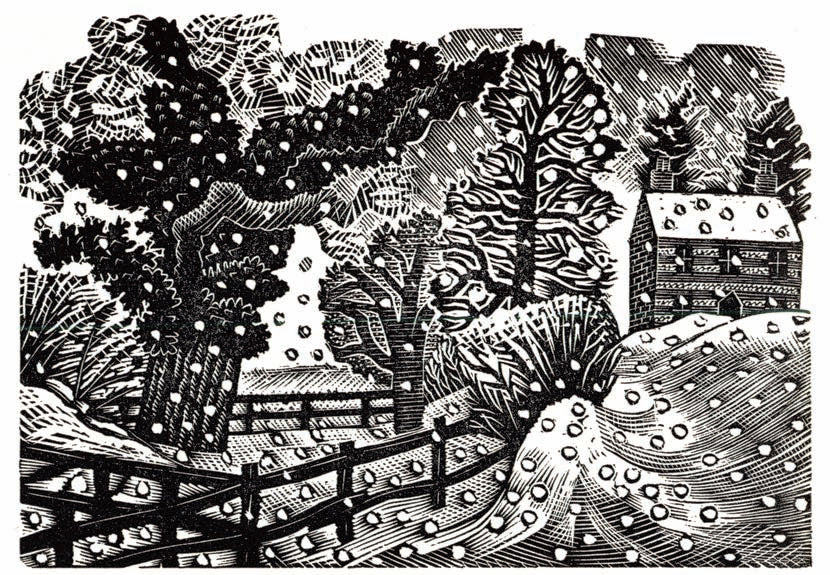 Considerable Falls Christmas Card, Pack of 6