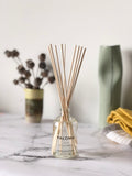 Paloma Reed Diffuser - Aloe, Straw & Cucumber
