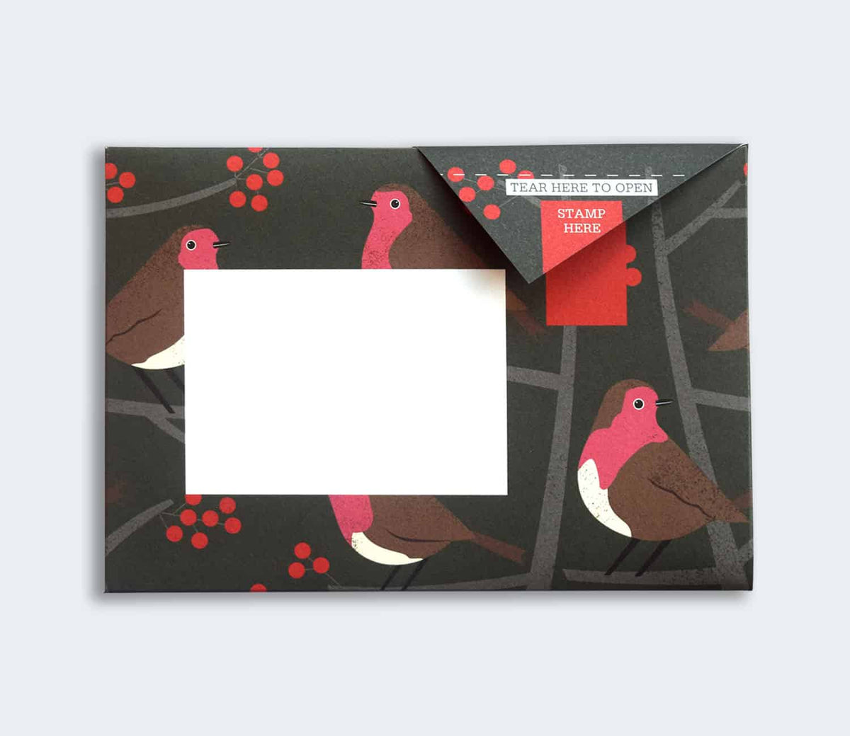 Robin and Wren Pigeon Pack