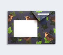 Robin and Wren Pigeon Pack