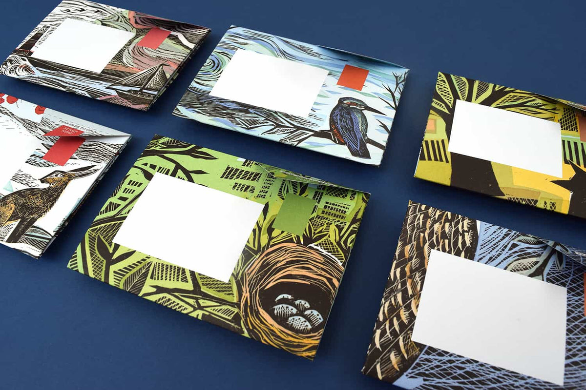Wonderfully Wild Pigeon Pack