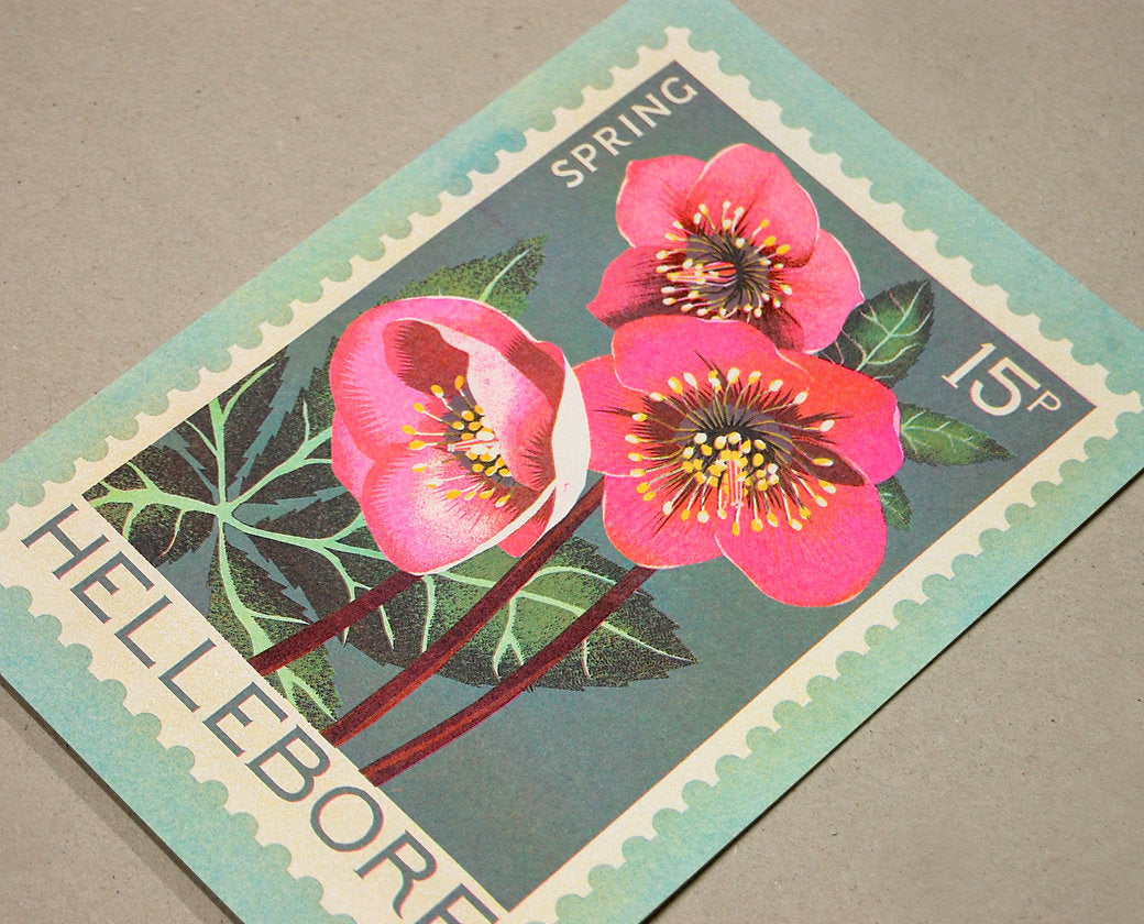A5 Hellebore plant print