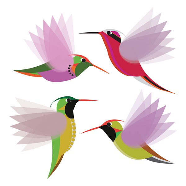 Hummingbirds Card