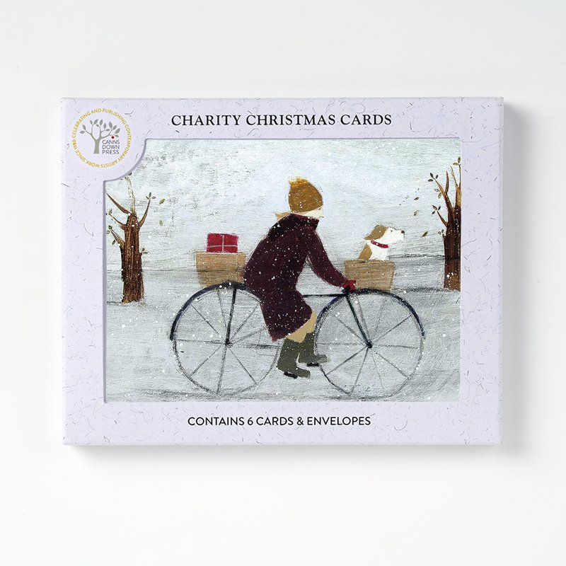 Special Delivery Christmas Card, Pack of 6